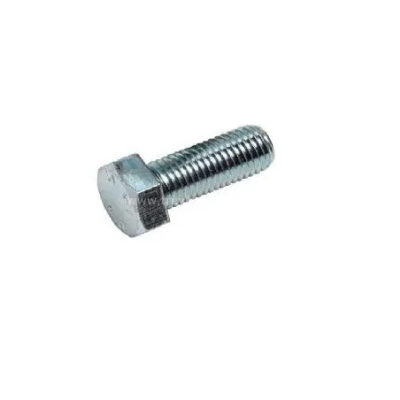 SCHMİTZ Altıköşe Başlı Vida Bolt M10x30 -820830