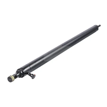 SCHMITZ Lift Master Piston-481160